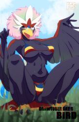 Rule 34 | 1girl, animal feet, arms up, artist name, bare shoulders, barefoot, beak, bikini, bird girl, bird tail, black fur, black wings, blue sky, blurry, blurry foreground, body fur, braviary, breasts, breasts apart, claws, cloud, collarbone, creatures (company), dated, day, english text, feathered wings, female focus, full body, furry, furry female, game freak, gen 5 pokemon, glasses, gradient hair, grass, green hair, grey pupils, highres, inktober, large breasts, looking at viewer, multicolored bikini, multicolored clothes, multicolored hair, navel, nintendo, open mouth, outdoors, peach-cup, personification, pince-nez, pink hair, pokemon, pokemon (creature), purple eyes, red fur, round eyewear, short hair, signature, sky, solo, spread legs, squatting, stomach, string bikini, striped bikini, striped clothes, swimsuit, tail, two-tone fur, two-tone hair, underboob, winged arms, wings