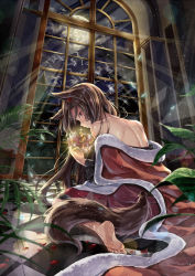 Rule 34 | 1girl, animal ears, back, bare shoulders, barefoot, blurry, blush, broken glass, brown hair, cape, checkered floor, closed mouth, commentary request, crown, depth of field, flower, from behind, full body, fur-trimmed cape, fur trim, glass, glint, glitter, glowing, holding, imaizumi kagerou, indoors, kakao rantan, lens flare, light particles, light rays, long hair, long sleeves, looking at viewer, looking back, moonlight, night, night sky, off shoulder, on floor, petals, plant, potted plant, profile, red eyes, red flower, red rose, red skirt, rose, rose petals, royal robe, sitting, skirt, sky, soles, solo, star (sky), starry sky, tail, tile floor, tiles, touhou, tree, wariza, wavy mouth, wide sleeves, window, wolf ears, wolf girl, wolf tail