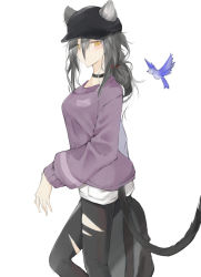 Rule 34 | 1girl, absurdres, alternate costume, animal ears, arknights, bird, black choker, black headwear, black pants, casual, cat ears, cat tail, choker, commentary request, ears through headwear, feet out of frame, hair between eyes, highres, kaminarichyan, leggings, long hair, long sleeves, looking at viewer, pants, purple sweater, schwarz (arknights), silver hair, simple background, solo, standing, sweater, tail, torn clothes, torn pants, white background, yellow eyes