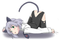 Rule 34 | 00s, 1girl, animal ears, ass, bent over, black pantyhose, cat ears, cat tail, cl-55, green eyes, kakuriyo, no, no panties, pantyhose, sanya v. litvyak, short hair, silver hair, solo, strike witches, tail, thighhighs, top-down bottom-up, torn clothes, torn legwear, world witches series, yadomeshi