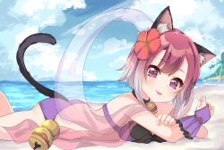 Rule 34 | 1girl, :p, animal ear fluff, animal ears, ass, bikini, blue sky, blush, bridal gauntlets, brown hair, cat ears, cat girl, cat tail, character request, closed mouth, cloud, cloudy sky, commentary request, day, flower, gradient hair, grey hair, hagoromo, hair flower, hair ornament, hibiscus, highres, horizon, looking at viewer, looking to the side, lying, multicolored hair, ocean, on stomach, outdoors, princess connect!, purple bikini, purple eyes, red hair, ribbon-trimmed bikini, ribbon trim, see-through, shawl, sky, smile, solo, suzu (minagi), swimsuit, tail, tail raised, tamaki (princess connect!), tamaki (summer) (princess connect!), tongue, tongue out