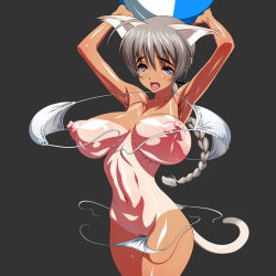 Rule 34 | 1girl, animal ears, arms up, ball, beachball, bikini, blue eyes, blush, breasts, brown hair, cat ears, cat girl, cat tail, female focus, female pubic hair, inagaki, large breasts, looking at viewer, lynette bishop, nipples, open mouth, pubic hair, short hair, solo, standing, strike witches, swimsuit, tail, tan, tanline, uncensored, world witches series