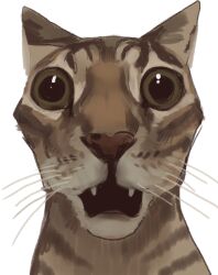 Rule 34 | cat, fangs, grey cat, looking at viewer, mossacannibalis, no humans, open mouth, original, simple background, tabby cat, whiskers, white background, wide-eyed