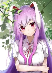 Rule 34 | 1girl, absurdres, animal ears, blouse, blush, closed mouth, collared shirt, commentary request, eyes visible through hair, garaudon, head tilt, highres, long hair, looking at viewer, plant, purple hair, rabbit ears, red eyes, reisen udongein inaba, shirt, short sleeves, smile, solo, touhou, upper body, very long hair, white background, white shirt