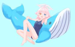 Rule 34 | 1girl, ahoge, barefoot, blue archive, blue eyes, blue one-piece swimsuit, blush, flat chest, full body, halo, heterochromia, highres, hoshino (blue archive), kyuuri (miyako), long hair, looking at viewer, one-piece swimsuit, open mouth, pink hair, simple background, sitting, solo, stuffed animal, stuffed toy, stuffed whale, swimsuit, yellow eyes