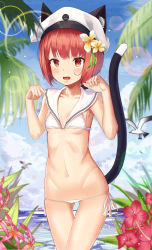 Rule 34 | 1girl, absurdres, animal ears, bad id, bad pixiv id, bikini, blue sky, blush, breasts, cat ears, cat tail, day, fake animal ears, fake tail, flower, graphite (medium), hat, highres, jungle, kantai collection, kemonomimi mode, looking at viewer, medium hair, micro bikini, military, military hat, military uniform, nature, ocean, outdoors, palm tree, paw pose, peaked cap, red eyes, sky, small breasts, swimsuit, tail, teshu, traditional media, tree, uniform, white bikini, z3 max schultz (kancolle)