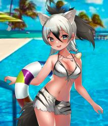 Rule 34 | 10s, 1girl, aardwolf (kemono friends), alternate costume, animal ears, bad id, bad twitter id, bare arms, bare shoulders, bikini, bikini top only, black hair, blue eyes, blurry, blush, choir (artist), cowboy shot, depth of field, extra ears, grey hair, highres, innertube, jewelry, kemono friends, kemono friends festival, multicolored hair, necklace, photo-referenced, ponytail, print bikini, shell, shell necklace, short hair, short shorts, shorts, sleeveless, solo, stomach, swim ring, swimsuit, tail