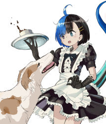 Rule 34 | 1girl, :o, alternate costume, apron, ari hinoko, black dress, black eyes, black hair, black neckwear, blue eyes, blue hair, bow, bowtie, claws, commentary request, cup, dog, dog request, dress, enmaided, hair ornament, hairclip, heterochromia, highres, holding, looking down, maid, maid apron, monster girl, multicolored hair, original, puffy short sleeves, puffy sleeves, scared, short hair, short sleeves, spilling, split-color hair, standing, tail, teacup, thighs, tray, two-tone hair, waist apron, wakao ruri, white apron
