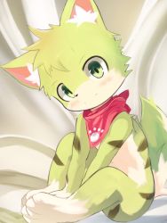 Rule 34 | 1boy, blush, borrowed character, child, feet together, furry, furry male, green eyes, highres, male focus, neckerchief, original, sitting, smile, solo, wafflebond