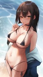 Rule 34 | 1girl, absurdres, aoinu (aoinu 99), bikini, black bikini, black jacket, blush, breasts, brown hair, cleavage, closed mouth, collar, collarbone, cowboy shot, day, food, highres, holding, holding food, jacket, large breasts, long hair, looking at viewer, micro bikini, multi-strapped bikini, navel, open clothes, open jacket, orange eyes, original, outdoors, popsicle, skindentation, smile, solo, stomach, swimsuit, unzipped, water, wet