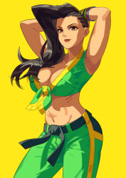 Rule 34 | 1girl, arms up, asymmetrical hair, black hair, bracelet, braid, breasts, brown eyes, capcom, cleavage, dougi, front-tie top, green pants, hands on own head, highres, jewelry, large breasts, laura matsuda, martial arts belt, midriff, pants, solo, street fighter, street fighter v, wristband, yagi2013