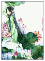 Rule 34 | 1girl, alternate hairstyle, arm up, axis powers hetalia, barefoot, black eyes, black hair, dress, expressionless, feet, female focus, flower, full body, kneeling, leaf, lily pad, long hair, long image, long sleeves, looking away, lotus, painting (medium), simple background, solo, tall image, text focus, thuyan, traditional clothes, traditional media, very long hair, vietnam (hetalia), vietnamese dress, watercolor (medium), watermark, web address, white background