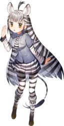 1girl full_body game_cg kemono_friends kemono_friends_kingdom looking_at_viewer official_art plains_zebra_(kemono_friends) solo tachi-e transparent_background