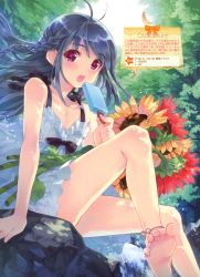 Rule 34 | 1boy, :o, absurdres, anklet, bare shoulders, barefoot, blue hair, braid, collarbone, dengeki moeou, dress, feet, flower, food, highres, holding, jewelry, kasukabe akira, long hair, male focus, nature, open mouth, original, popsicle, red eyes, scan, single braid, sitting, soles, solo, spread toes, sundress, sunflower, toes, trap, water