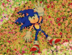 Rule 34 | 1boy, animal ears, animal nose, artist name, blue fur, expressionless, fedoragato, field, flower, flower field, furry, furry male, gloves, grass, green eyes, hedgehog, hedgehog ears, highres, lying, meadow, on back, on ground, orange flower, outstretched hand, pink flower, purple flower, red flower, red footwear, shoes, sneakers, socks, solo, sonic (series), sonic the hedgehog, twitter username, white flower, white gloves, white socks, yellow flower