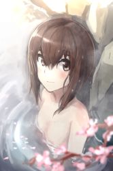 Rule 34 | 10s, 1girl, bad id, bad pixiv id, bathing, blush, branch, brown eyes, brown hair, cherry blossoms, commentary request, convenient censoring, flat chest, hair between eyes, kantai collection, looking at viewer, looking up, nude, onsen, partially submerged, petals, plant, ripples, rock, short hair, sitting, solo, steam, taihou (kancolle), water, weasel (close-to-the-edge), wet, wet hair