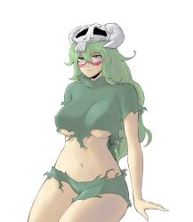 Rule 34 | 1girl, bleach, breasts, green eyes, green hair, highres, large breasts, long hair, midriff, navel, nelliel tu odelschwanck, revealing clothes, solo, torn clothes, underboob