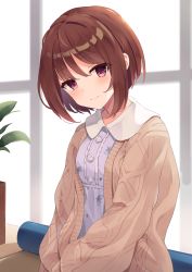 Rule 34 | 1girl, blush, breasts, brown hair, brown jacket, closed mouth, collared dress, commentary request, dress, floral print, hair between eyes, highres, jacket, long sleeves, looking at viewer, mizu (lzzrwi603), open clothes, open jacket, plant, princess connect!, print dress, puffy long sleeves, puffy sleeves, purple dress, purple hair, shiori (princess connect!), shiori (real) (princess connect!), short hair, sitting, small breasts, smile, solo, window