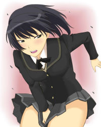 Rule 34 | 1girl, amagami, black hair, pleated skirt, ponytail, school uniform, shouji nigou, skirt, solo, tsukahara hibiki, wind, wind lift