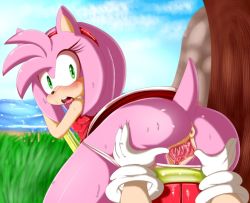 Rule 34 | 1girl, amy rose, anus, ass, blush, from behind, hammer, hearlesssoul, open mouth, pussy, sonic (series), spread pussy, uncensored