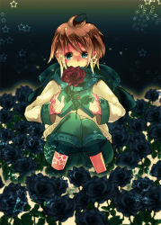 Rule 34 | 1boy, blonde hair, blue eyes, flower, flower bed, le petit prince, light, light particles, male focus, night, red flower, red rose, rose, scarf, shorts, smile, solo, squatting, star (symbol)