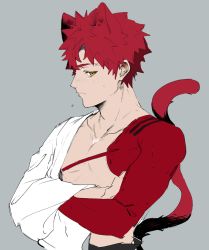 Rule 34 | 1boy, animal ears, blush, brown eyes, cat boy, cat ears, cat tail, clothing request, collarbone, crossed arms, emiya shirou, fang, fate (series), grey background, highres, kemonomimi mode, long sleeves, looking at viewer, male focus, profile, red hair, short hair, sketch, solo, spiked hair, suzumetarou, tail, upper body
