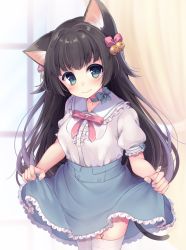 Rule 34 | 1girl, animal ears, bell, black hair, blue bow, blue eyes, blue ribbon, blue skirt, blurry, blurry background, blush, bow, breasts, cat ears, cat girl, cat tail, closed mouth, collar, collared shirt, commentary request, cowboy shot, curtains, fingernails, frilled collar, frills, garter straps, hair bell, hair bow, hair ornament, highres, indoors, irone (miyamiya38), jingle bell, long hair, looking at viewer, neck ribbon, original, pink bow, puffy short sleeves, puffy sleeves, ribbon, shirt, short sleeves, skirt, skirt hold, slit pupils, small breasts, solo, tail, thighhighs, very long hair, wavy mouth, white shirt, white thighhighs, window
