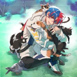Rule 34 | 1boy, alear (fire emblem), alear (male) (fire emblem), animal, bird, blue eyes, blue hair, cat, commentary, dog, dove, english commentary, fire emblem, fire emblem engage, grass, heterochromia, highres, holding, holding animal, hug, long hair, long sleeves, looking at viewer, male focus, miyuli, multicolored hair, nintendo, open mouth, red eyes, red hair, shirt, short hair, shorts, sitting, smile, split-color hair, two-tone hair, white shirt, white shorts