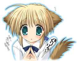 Rule 34 | 00s, 1girl, ahoge, animal ears, artoria pendragon (all), artoria pendragon (fate), blonde hair, blouse, dog ears, dog tail, fate/stay night, fate (series), index fingers together, kemonomimi mode, nekoneko, outline, own hands together, saber (fate), shirt, simple background, solo, tail, white background, white shirt