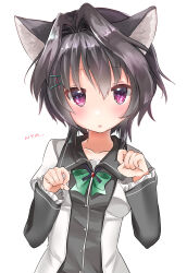 Rule 34 | 1girl, 9-nine-, absurdres, animal ear fluff, animal ears, black hair, black shirt, blush, cat ears, chestnut mouth, commentary request, eyelashes, frilled sleeves, frills, hair between eyes, hair intakes, hair ornament, hairclip, hands up, highres, juliet sleeves, long sleeves, looking at viewer, open mouth, paw pose, puffy sleeves, purple eyes, school uniform, shirt, short hair with long locks, sidelocks, solo, spiked hair, straight-on, takepoison, two-tone shirt, upper body, white shirt, wide sleeves, wing collar, yuuki noa