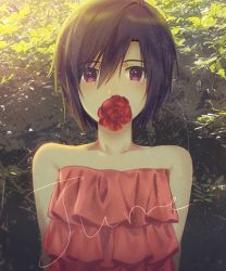 Rule 34 | 1girl, arms behind back, bad id, bad pixiv id, black hair, day, flower, hachiware, hair between eyes, highres, holding, holding flower, idolmaster, idolmaster (classic), kikuchi makoto, looking at viewer, mouth hold, outdoors, purple eyes, red flower, red rose, rose, short hair, solo, striped, swept bangs, upper body