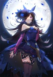 Rule 34 | 1girl, animal ears, bare shoulders, black thighhighs, blue dress, blue flower, blue rose, breasts, brown hair, commentary request, dagger, dress, flower, full moon, fur collar, hair over one eye, hand up, hat feather, highres, horse ears, horse girl, horse tail, knife, konatsu hare, long hair, long sleeves, medium breasts, moon, night, off-shoulder dress, off shoulder, parted lips, petals, purple eyes, purple sleeves, rice shower (umamusume), rose, sheath, sheathed, solo, standing, tail, thighhighs, tilted headwear, twitter username, umamusume, weapon