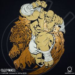 Rule 34 | bandages, eyepatch, highres, non porn, sagat, serious, street fighter, tagme, tiger