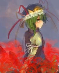 Rule 34 | 1girl, bad id, bad pixiv id, female focus, flower, green eyes, green hair, hat, plant, shiki eiki, solo, spider lily, standing, touhou, usagiho