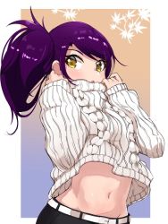 Rule 34 | 13-gou, 1girl, belt, character request, long hair, looking at viewer, navel, purple hair, side ponytail, solo, sweater, yellow eyes