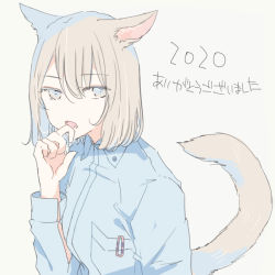 Rule 34 | 1girl, animal ears, blouse, blue eyes, blue shirt, blush, breast pocket, cat ears, cat girl, cat tail, collared shirt, commentary request, grey hair, hair ornament, hairpin, hand to own mouth, inutose, long sleeves, looking afar, medium hair, open mouth, original, pocket, raised eyebrow, school uniform, shirt, simple background, solo, tail
