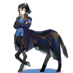 1girl aa9_(jaue7242) animal_ears black_coat black_hair blue_eyes blue_shirt centaur closed_mouth coat commentary crossed_arms ear_covers full_body hair_between_eyes hair_ornament highres horse_ears horse_tail katsuragi_ace_(umamusume) long_sleeves looking_to_the_side medium_hair monster_girl monsterification multicolored_hair multiple_legs open_clothes open_coat ponytail shirt sidelocks simple_background smile solo standing standing_on_three_legs streaked_hair tail tassel tassel_hair_ornament taur umamusume white_background white_hair