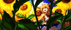 Rule 34 | 1girl, blue skirt, blue sky, bow, brown hair, clenched hand, cloud, commentary request, day, fangs, field, flower, flower field, fuji tarawi, hair bow, highres, horns, ibuki suika, long hair, looking to the side, open mouth, outdoors, outstretched arms, pointy ears, red bow, red neckwear, shirt, skirt, sky, sleeveless, sleeveless shirt, smile, solo, sunflower, sunflower field, touhou, very long hair, white shirt, wrist wrap, yellow eyes