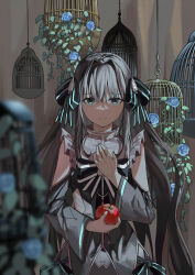 Rule 34 | 1girl, absurdres, apple, arcaea, birdcage, blue flower, blue rose, bow, bruce 1354, cage, detached sleeves, flower, food, fruit, grey hair, hair bow, hand on own chest, highres, holding, holding food, holding fruit, rose, solo, tairitsu (arcaea), wide sleeves
