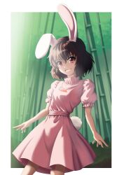 Rule 34 | 1girl, absurdres, animal ears, back hair, bamboo, carrot necklace, commentary, english commentary, highres, inaba tewi, jewelry, looking at viewer, necklace, pink shirt, pink skirt, rabbit ears, rabbit girl, rabbit tail, red eyes, shirt, short hair, short sleeves, skirt, smacphadraig, smile, tail, touhou