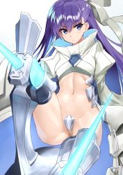 Rule 34 | 10s, 1girl, absurdres, armor, armored boots, blue eyes, boots, crotch plate, fate/extra, fate/extra ccc, fate (series), hair ribbon, highres, long hair, looking at viewer, meltryllis (fate), meltryllis (third ascension) (fate), navel, purple hair, revealing clothes, ribbon, shunichi, simple background, solo, very long hair, white background