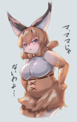Rule 34 | 1girl, absurdres, angry, animal ears, artist request, bare shoulders, blue eyes, blush, bow, bowtie, breasts, caracal (kemono friends), commentary request, elbow gloves, gloves, grey background, hair between eyes, hands on own hips, highres, kemono friends, large breasts, light brown hair, looking at viewer, open mouth, plump, shirt, simple background, skirt, sleeveless, solo, tagme, thick arms, traditional bowtie, translation request