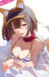 Rule 34 | 1girl, :d, absurdres, animal ear fluff, animal ears, bare arms, bikini, blue archive, blush, breasts, brown eyes, brown hair, cleavage, fox ears, fox tail, hair between eyes, halo, highres, izuna (blue archive), izuna (swimsuit) (blue archive), looking at viewer, medium breasts, medium hair, open mouth, red scarf, scarf, simple background, smile, solo, starshell, striped bikini, striped clothes, swimsuit, tail, visor cap