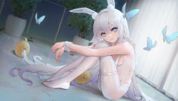 Rule 34 | + +, 1girl, :3, animal ears, azur lane, bad id, bad pixiv id, bare shoulders, blue eyes, blush, breast curtains, breasts, bug, butterfly, cirilla lin, closed mouth, creature, curtains, dutch angle, fake animal ears, full body, hairband, highres, indoors, insect, le malin (azur lane), le malin (listless lapin) (azur lane), leotard, long hair, looking at viewer, manjuu (azur lane), no shoes, official alternate costume, on floor, pantyhose, plant, playboy bunny, potted plant, rabbit ears, silver hair, sitting, small breasts, smile, solo focus, thigh strap, thighs, very long hair, white hairband, white leotard, white pantyhose, wrist cuffs