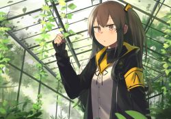 Rule 34 | 1girl, black jacket, breasts, brown eyes, closed mouth, girls&#039; frontline, greenhouse, hinami047, jacket, light brown hair, long hair, looking at viewer, neck ribbon, open clothes, open jacket, ribbon, scar, scar across eye, scar on face, shirt, small breasts, solo, ump45 (girls&#039; frontline), white shirt