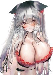 Rule 34 | 1girl, animal ear fluff, animal ears, bad id, bad pixiv id, bent over, bikini, black bikini, blush, breasts, cat ears, cleavage, closed mouth, commentary, cowboy shot, facial mark, frilled bikini, frills, hair between eyes, halterneck, huge breasts, long hair, looking at viewer, multicolored hair, original, poharo, red eyes, red hair, side-tie bikini bottom, silver hair, simple background, smile, solo, streaked hair, swimsuit, very long hair, wet, whisker markings, white background