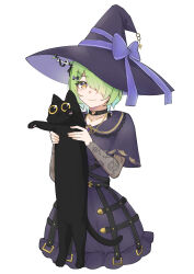 Rule 34 | absurdres, animal, antlers, black cat, black choker, cat, ceres fauna, ceres fauna (goth), choker, dress, green hair, hair over one eye, hat, highres, holding, holding animal, holding cat, hololive, hololive english, horns, jewelry, light smile, mole, necklace, purple dress, purple ribbon, ribbon, snail (ceres fauna), virtual youtuber, watercat322, witch hat, yellow eyes
