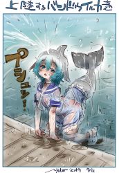 Rule 34 | 1girl, bad id, bad twitter id, blowhole, blue eyes, blue hair, blush, cetacean tail, choker, commentary, common bottlenose dolphin (kemono friends), dated, dress, fins, fish tail, frilled dress, frills, gradient hair, grey hair, head fins, highres, kemono friends, kemono friends 2, kneeling, leaning forward, looking at viewer, medium hair, multicolored hair, nyororiso (muyaa), open mouth, sailor collar, sailor dress, see-through, short sleeves, signature, solo, squirting liquid, tail, translation request, triangle mouth, water, water drop, wet, wet clothes, white choker, white hair