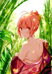 Rule 34 | 1girl, :o, ahoge, back, bamboo, bamboo forest, bare shoulders, blunt bangs, blush, bra, day, dema hmw, fingernails, floral print, forest, from behind, hair bun, hair ribbon, highres, japanese clothes, kimono, leaf, long fingernails, long sleeves, looking at viewer, looking back, nature, off shoulder, open mouth, orange eyes, orange hair, original, outdoors, plant, ribbon, short hair, sidelocks, single hair bun, solo, twisted neck, underwear, upper body, water drop, wide sleeves, yellow ribbon