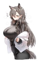Rule 34 | 1girl, animal ears, arknights, braid, breasts, commentary request, grey eyes, grey hair, grey sweater, highres, horn/wood, large breasts, long hair, long sleeves, looking at viewer, off shoulder, penance (arknights), penance (occasionally flushed) (arknights), solo, sweater, turtleneck, turtleneck sweater, upper body, very long hair, wolf ears